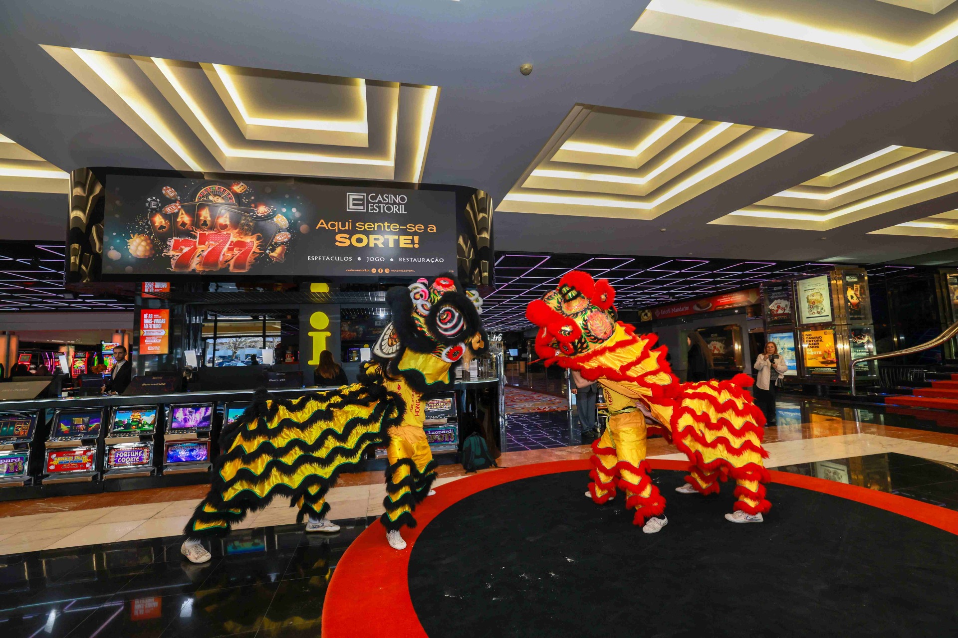 lisensoitu BoaBoa Casino rekisteröitymisbonus mainos